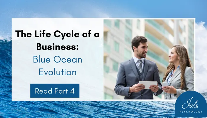 The Life Cycle of a Business: Blue Ocean Evolution