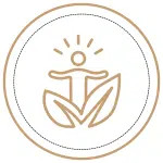 Soft power and human-centered business development