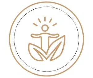 Soft power and human-centered business development