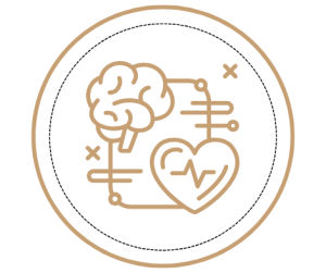 North Start Autoprotocol for Burnout Recovery by JulsPsychology