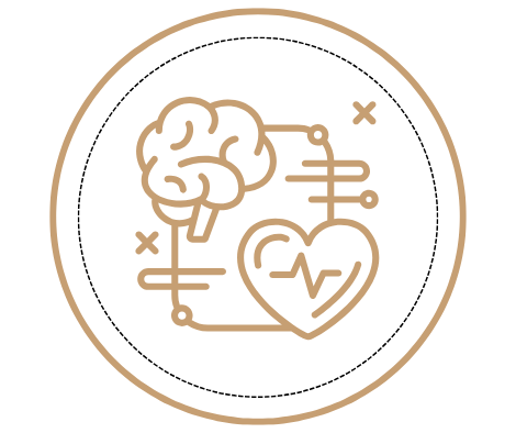 North Start Autoprotocol for Burnout Recovery by JulsPsychology